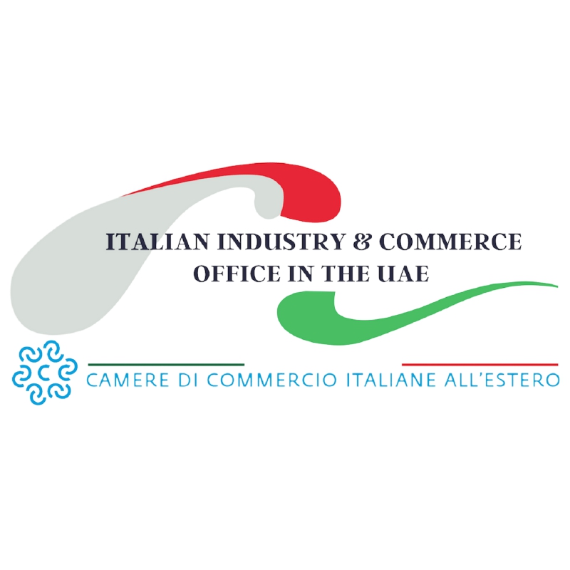 Logo IICUAE_page-0001